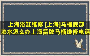 上海浴缸维修 [上海]马桶底部渗水怎么办上海箭牌马桶维修电话